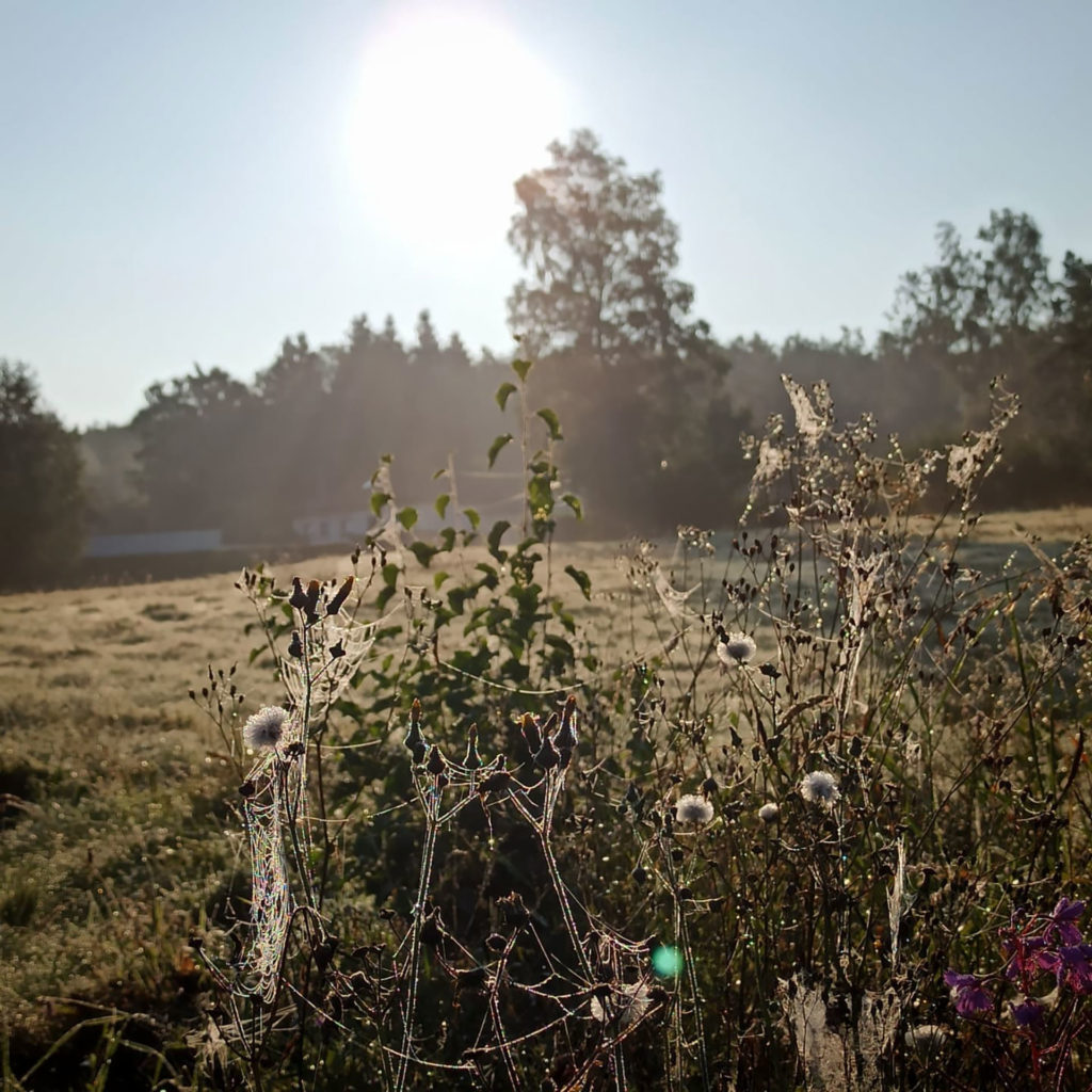 Es wird Herbst