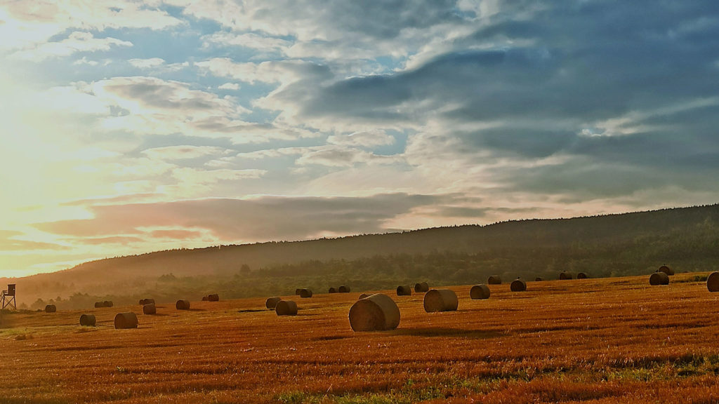 Es wird Herbst