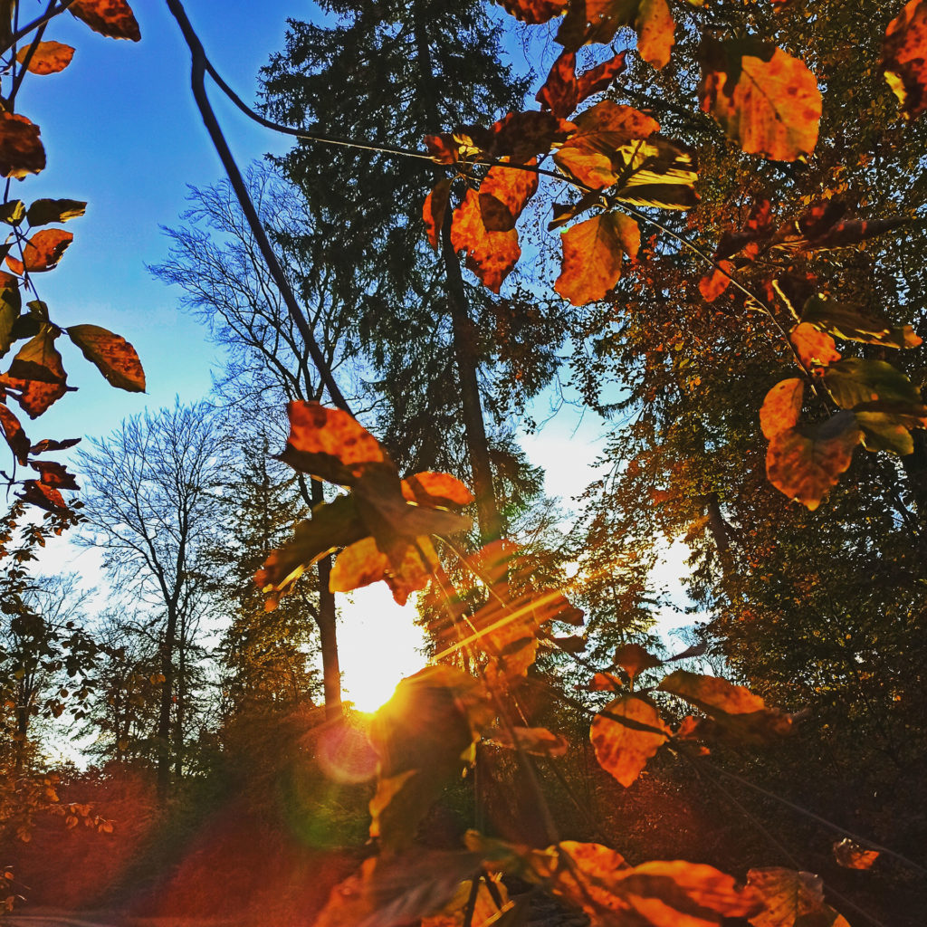 Den Herbst mag ich lieber, je älter ich werde