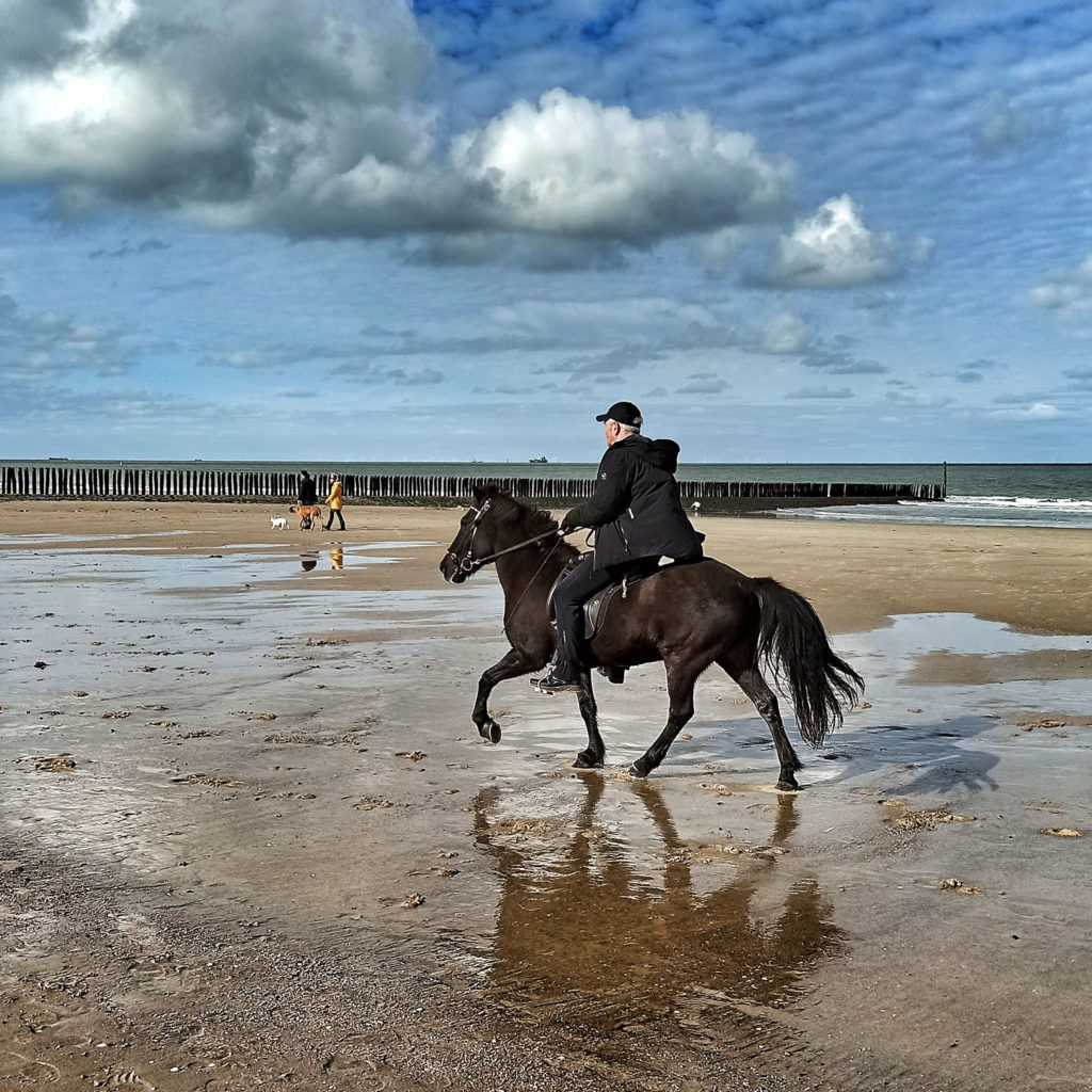 Wind in den Haaren, Muscheln in der Tasche und Sand unter den Hufen