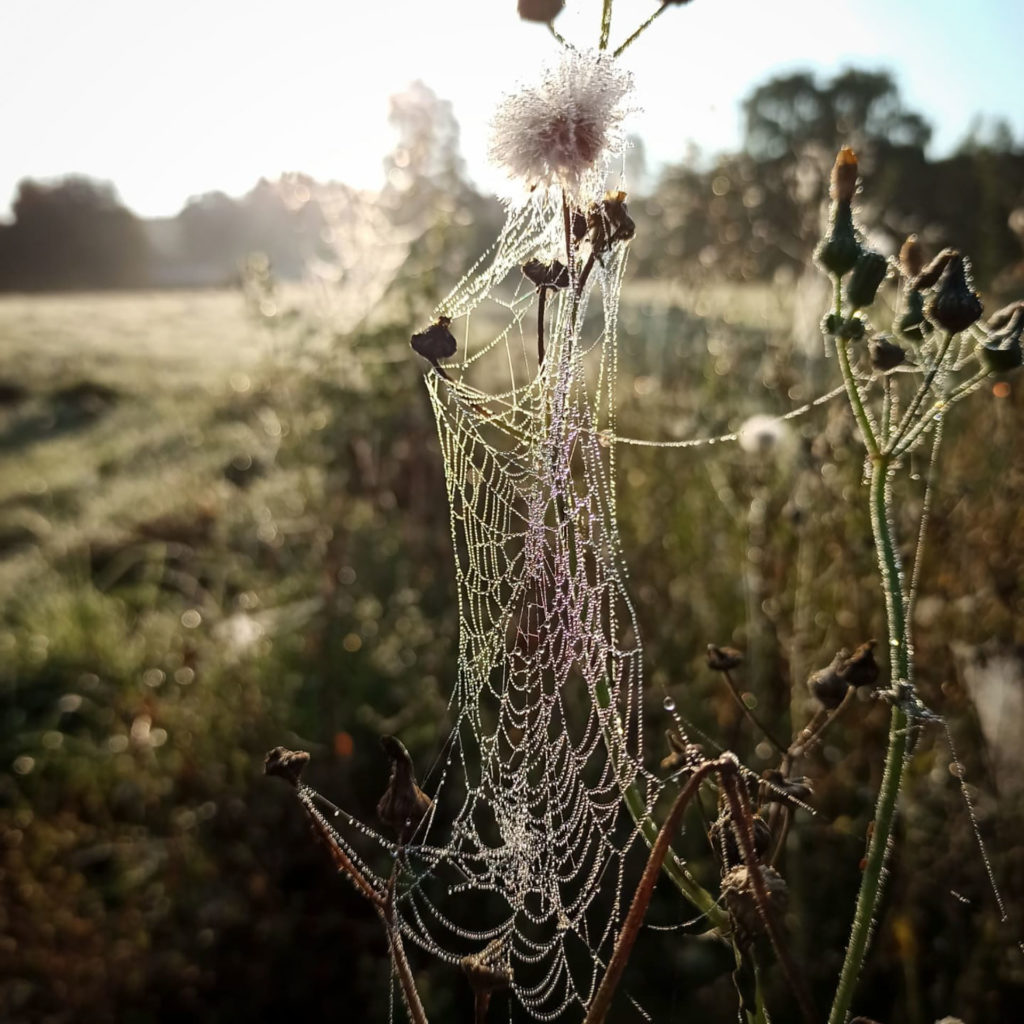 Es wird Herbst